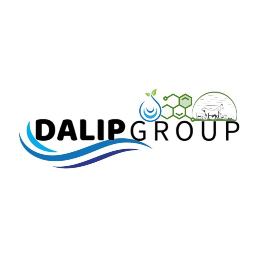 DALIPGROUP LOGO